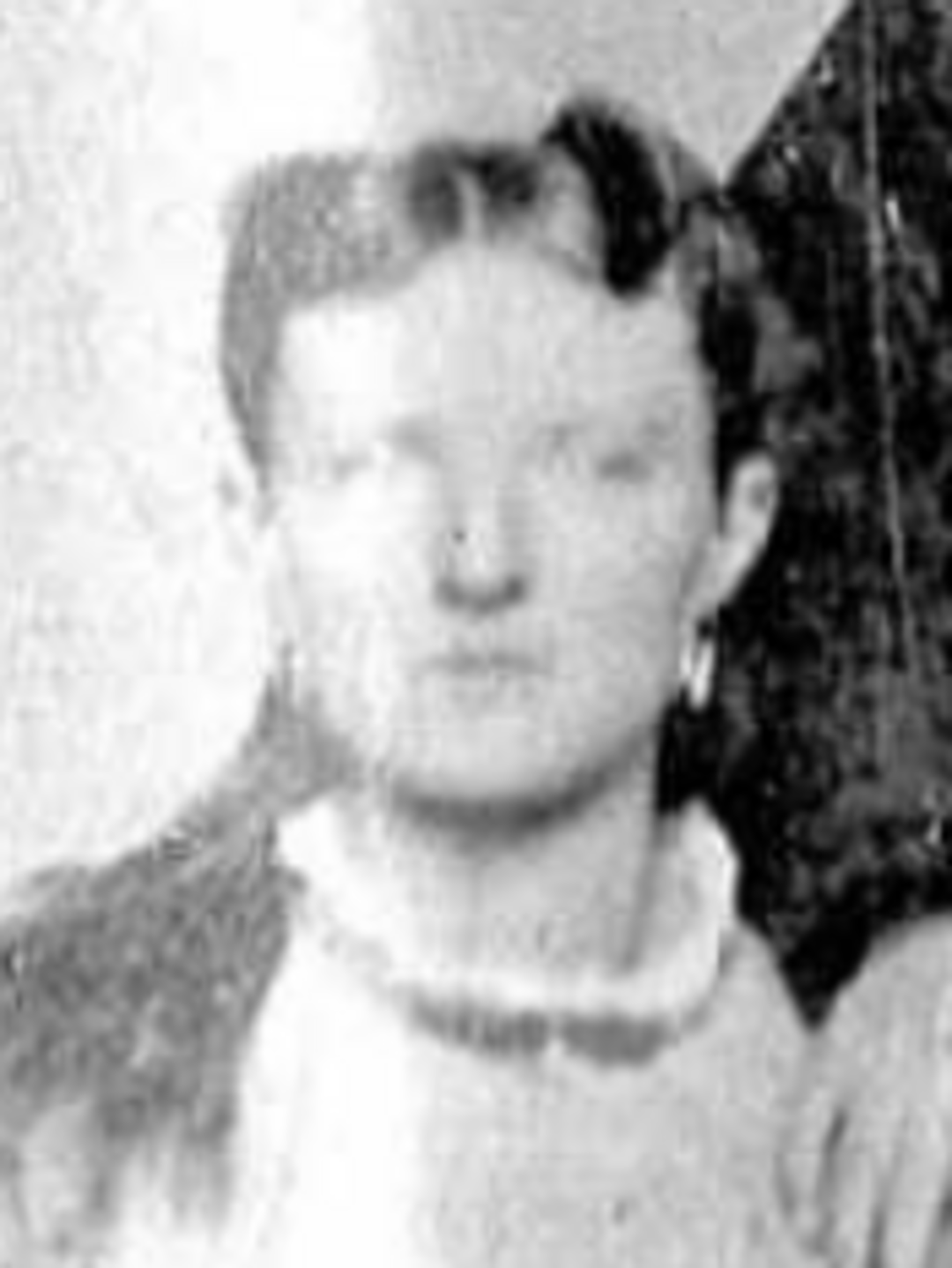 Julia Elzina Hansen (1860 - 1935) Profile